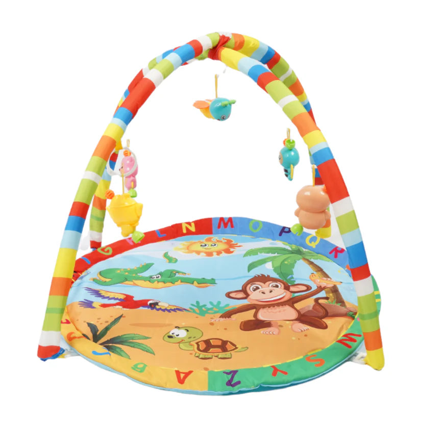 PLAYGYM MAT IMPORTED